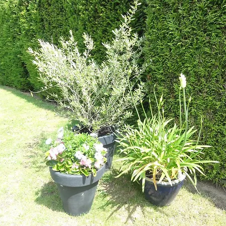 住宿加早餐酒店 艾格恩霍夫住宿加早餐旅馆 Stevensweert