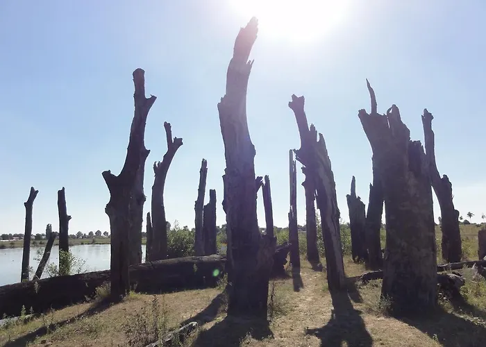 Engelenhof Отель типа 