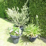 Couette-café Engelenhof Stevensweert